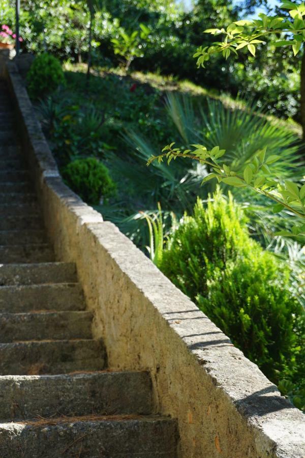 סן ניקולה ארצ'לה B&B Villa La Petra מראה חיצוני תמונה